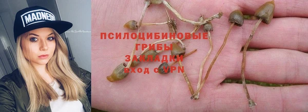 первитин Белокуриха