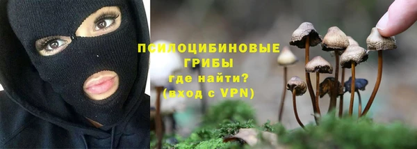 первитин Белокуриха