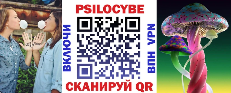 Галлюциногенные грибы Psilocybine cubensis  как найти   Облучье 